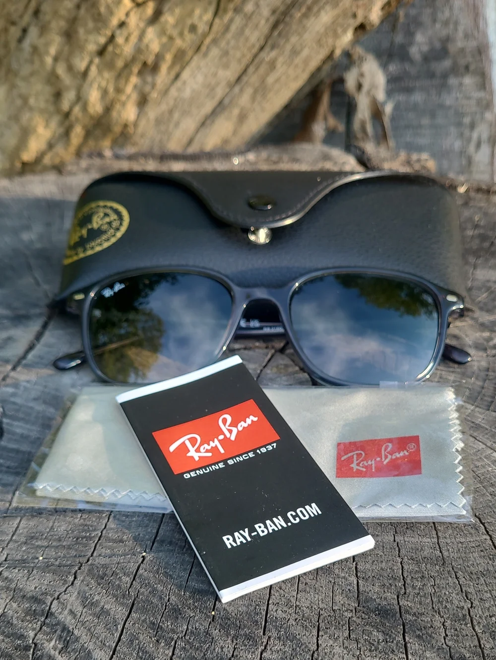 Women's Ray-Ban Leonard Sunglasses With Gradient Lenses